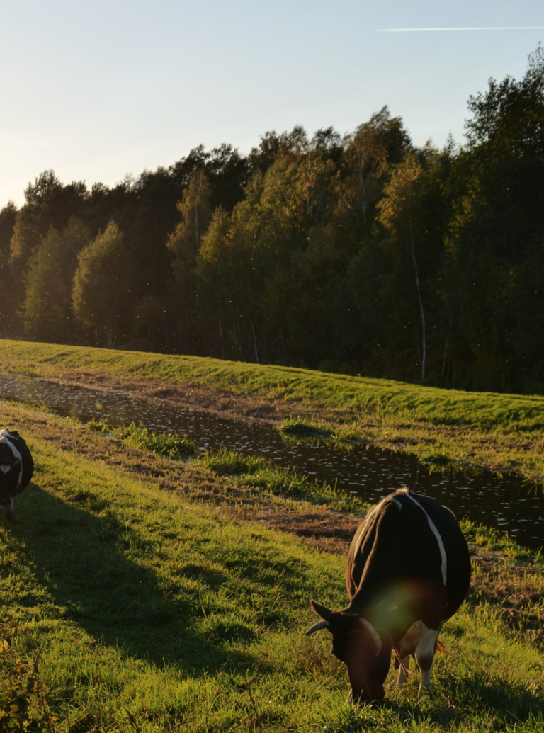 Informujemy, że całą aktywność przenieśliśmy na nasze social media.